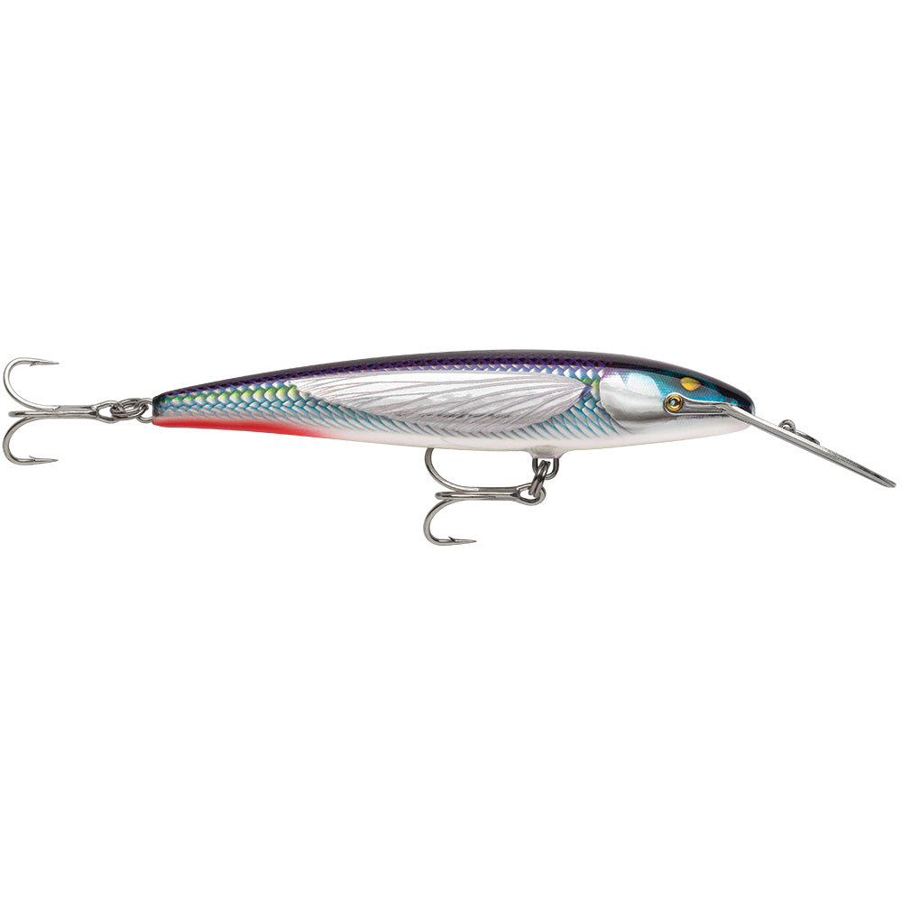 Rapala CountDown® Magnum® Elite 145 - 5-3/4" - Armored Flying Fish UV