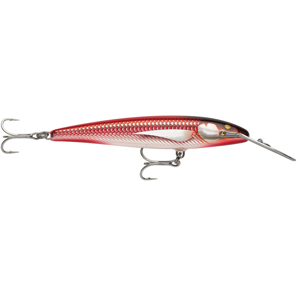 Rapala CountDown® Magnum® Elite 185 - 7" - Armored Real Red Bait