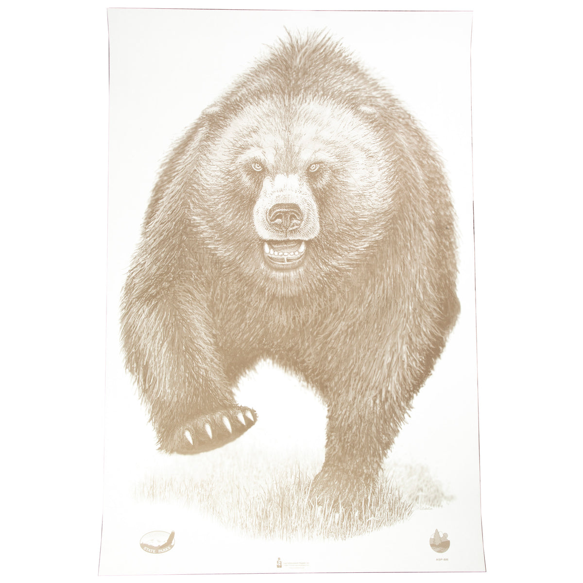 ACTION TGT AK STATE PARK BEAR 100PK