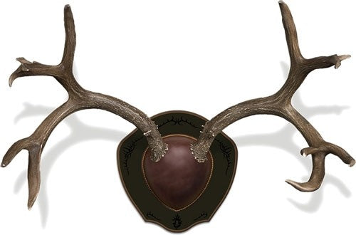 Mountain Mike's Deer Antler - Rack Plaque W/shed Spreader