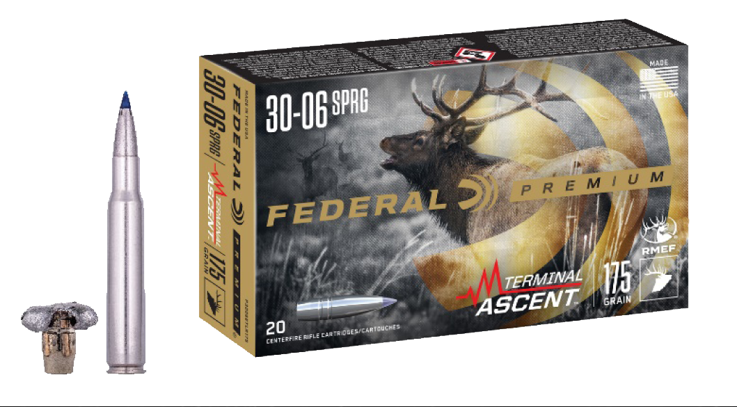 Federal Premium, Fed P3006ta1 3006 175 Term Ascent 20/10