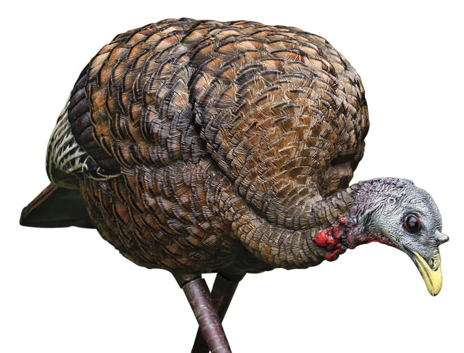 Avian X (gsm) Lcd, Avian Avx-avx8007 Lcd Feeder Hen Decoy