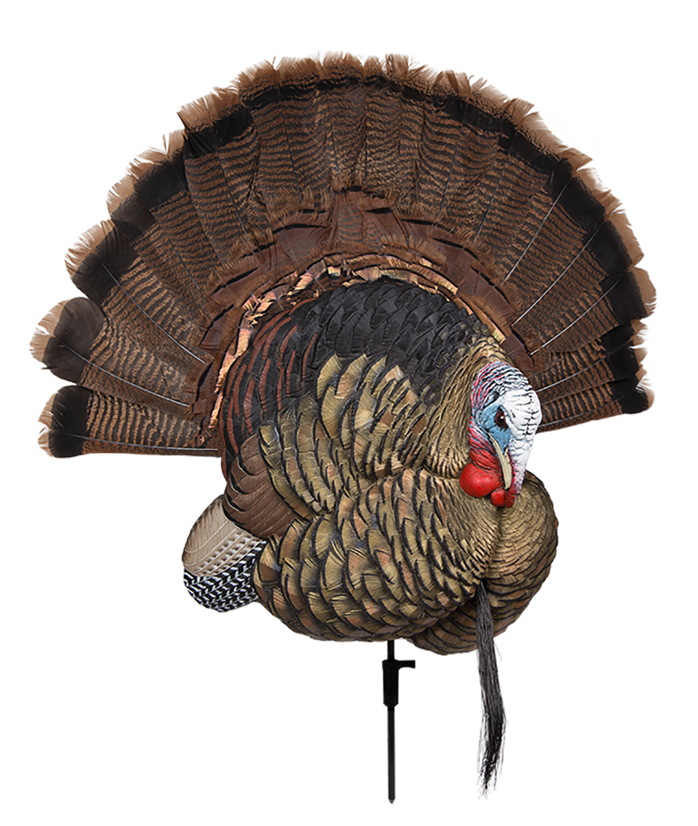 Avian X (gsm) Trophy, Avian Avx-avx8021 Trophy Tom Decoy
