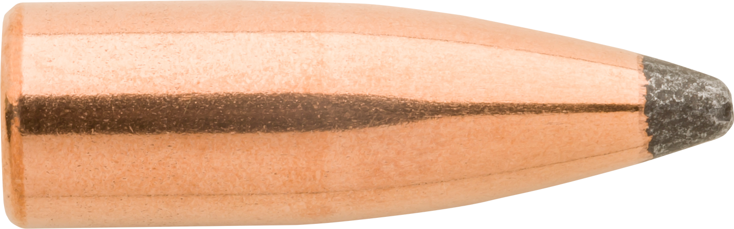 Sierra Varminter, Sierra 1360 .224 55 Spt 100