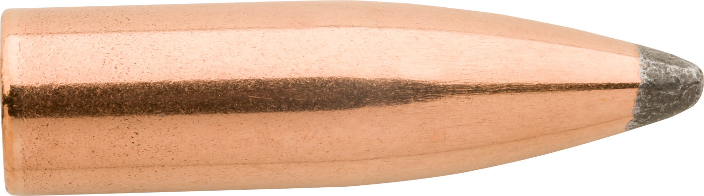 Sierra Varminter, Sierra 1520 .243 85 Spt 100