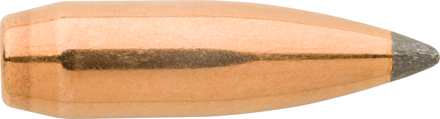 Sierra Varminter, Sierra 1515 .243 80 Sbt Blitz 100