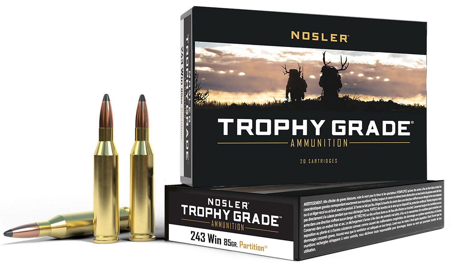 Nosler Trophy Grade, Nos 60002 243win 85 Pt 20/10