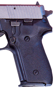Hogue Grips Sigarms P228 & - P229 Rubber Panels Black