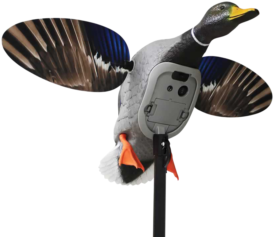 Mojo King Mallard, Mojo Hw2520 Es King Mallard