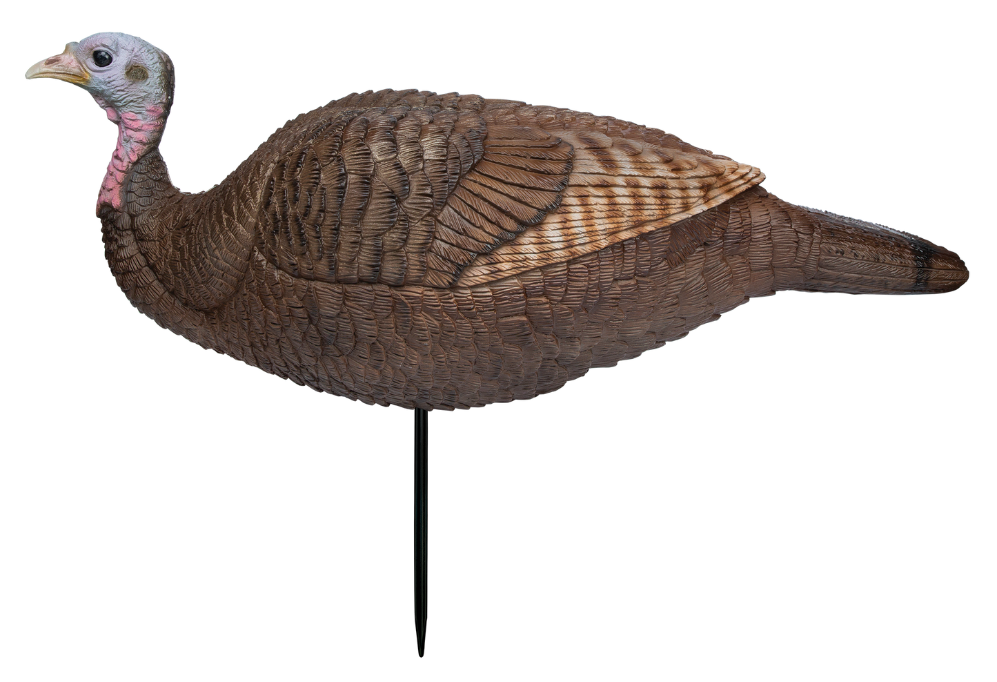 Primos Lil' Gobstopper, Prim 69073    Lil Gobstopper Hen