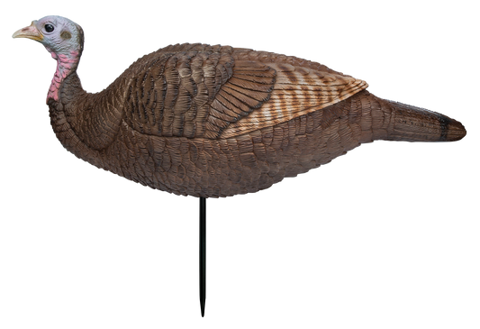 Primos Lil' Gobstopper, Prim 69073    Lil Gobstopper Hen