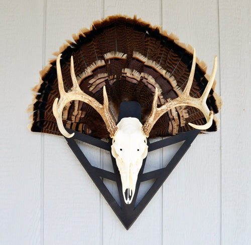 Do-all Strut-n-skull Turkey - Fan/european Skull Mount