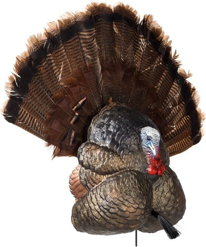Flextone Thunder Creeper - Strutter Decoy W/ Folding Fan