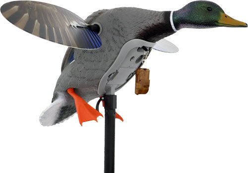 Mojo King Mallard Drake Decoy -
