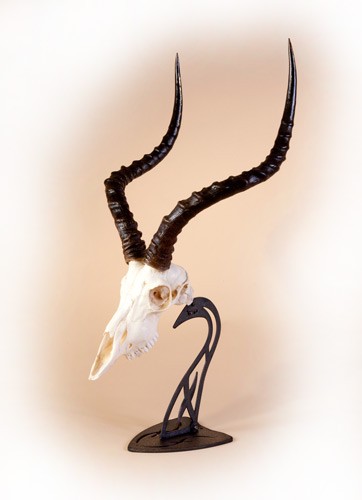 Skull Hooker Table Hooker - Graphite Black!