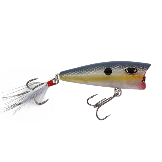 Duckett Popper