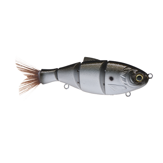 Duckett 5" Shad