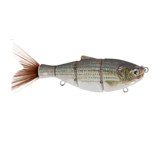 Duckett 6" Shad
