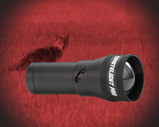 Coyote Light
