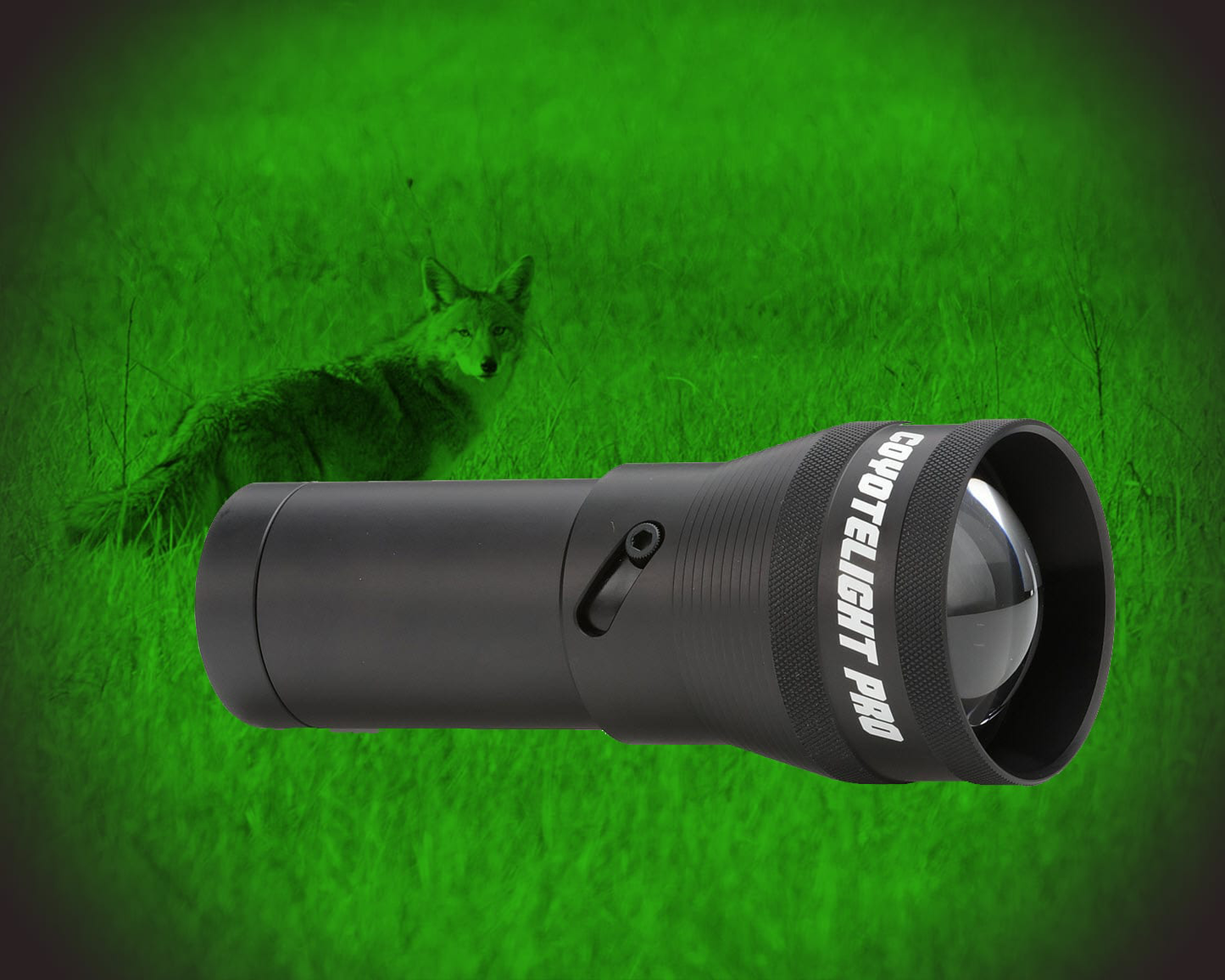 Coyote Light