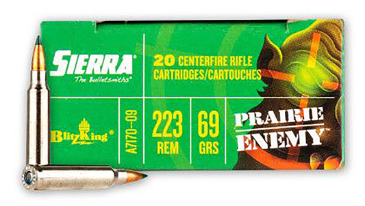 Sierra Gamechanger, Sierra A717009 223 Rem   69 Blitzking        20/10
