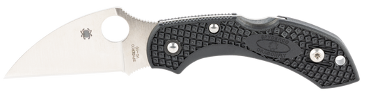 Spyderco Dragonfly 2, Spy C28fpwcbk2 Dragonfly2  Lgwt Blk  Wharncliffe