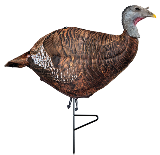 Primos Photoform, Prim 69070    Photoform Leading Hen