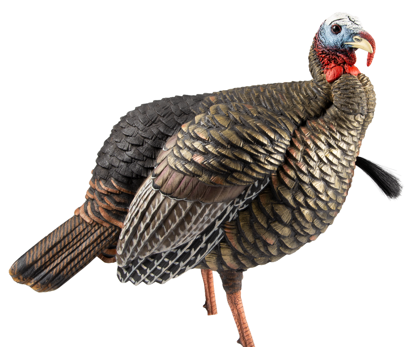 Avian X (gsm) Hdr, Avian Avx-avx8105 Hdr Jake Decoy