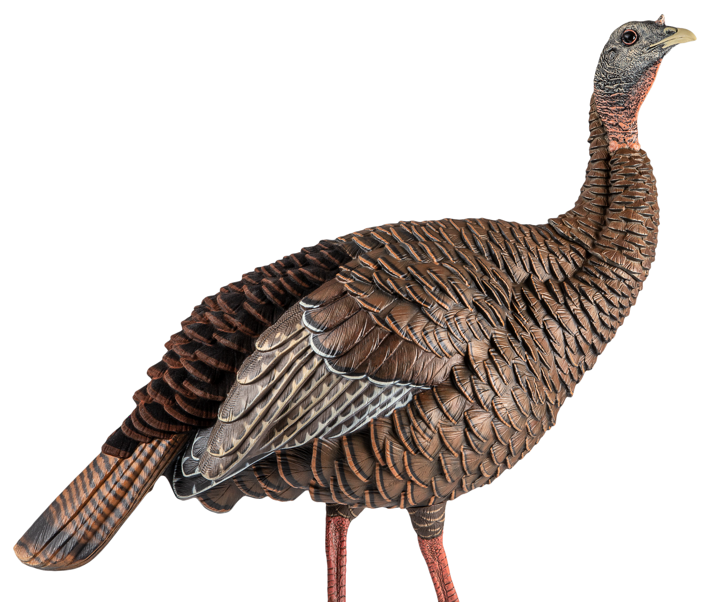 Avian X (gsm) Hdr, Avian Avx-avx8106 Hdr Hen Decoy