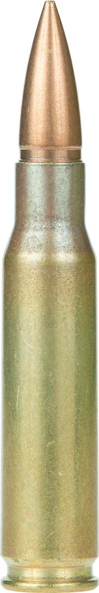 Armscor Rifle, Arms Ac3082n          308      168 Hpbt      20/10