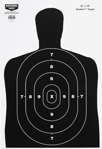 Birchwood Casey Eze-scorer, Bir 37005 Eze-scorer 12x18 Bc27 Target       100pk