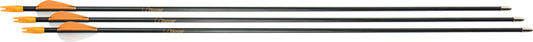 Bear Archery Youth Safetyglass - Arrows 28" 3pk