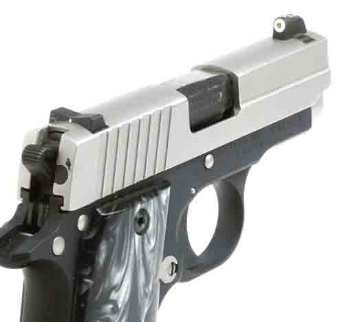 Xs Dxw Big Dot Tritium Sig - P938 Defensive Express Set